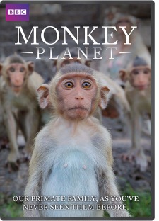 monkey_planet_600.